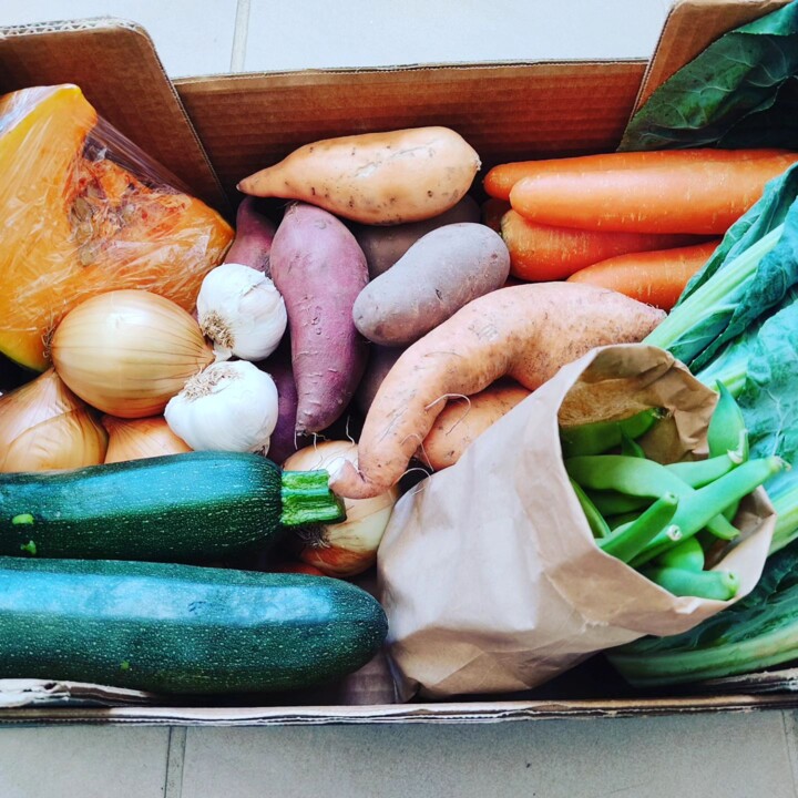 374572073_686466700177410_5763124127853256947_n.jp