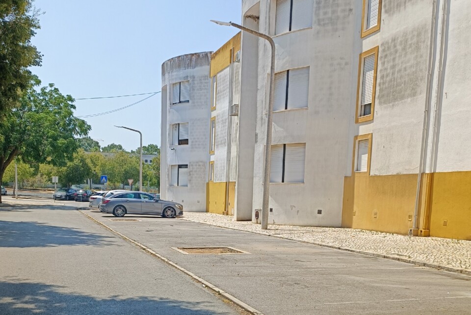 Canteiros sem árvores.jpg