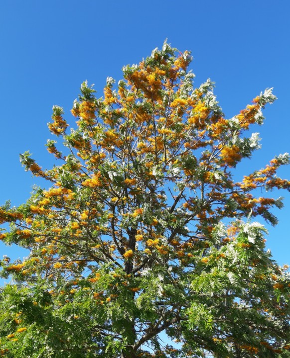 20210611_074108.jpg 20210611_074108.jpg