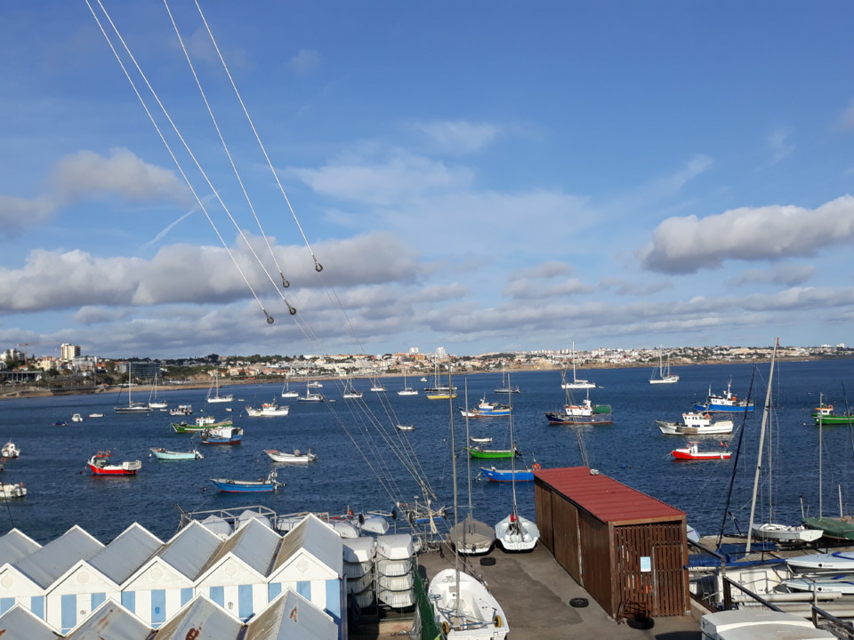 20200926_173820.jpg 20200926_173820.jpg