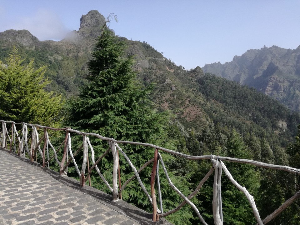 IMG_20200225_145019.jpg IMG_20200225_145019.jpg