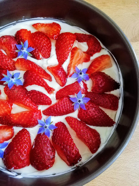 IMG_20200419_134029.jpg IMG_20200419_134029.jpg