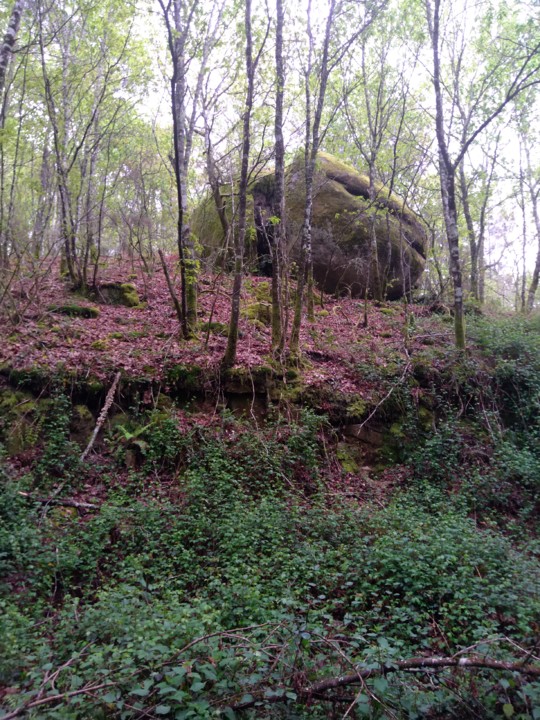 IMG_20210402_115842.jpg IMG_20210402_115842.jpg