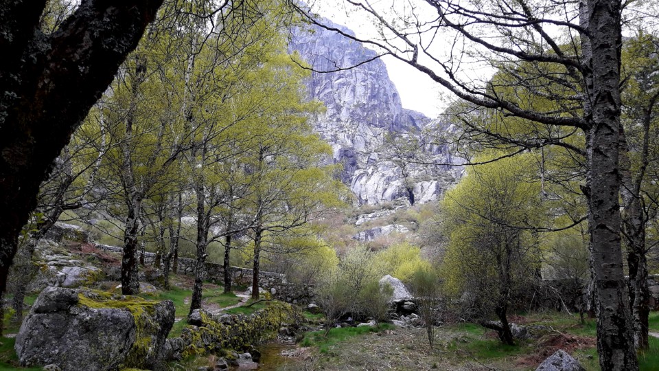 Vistas para cantaro.jpg