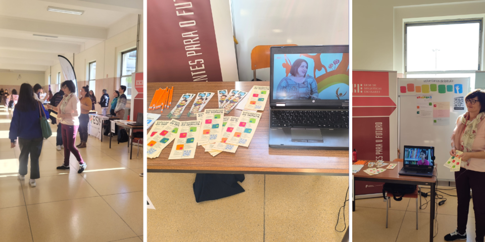 5 dezembro - voluntariado (1).png