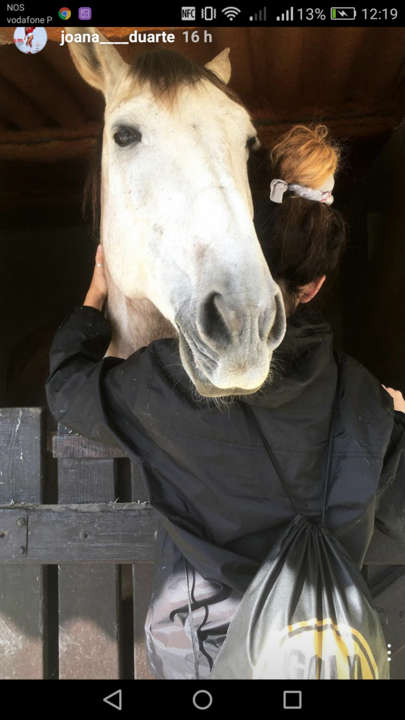 Screenshot_2017-01-23-12-19-18.png Screenshot_2017-01-23-12-19-18.png