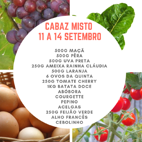 CabazMisto11a14Set.png CabazMisto11a14Set.png