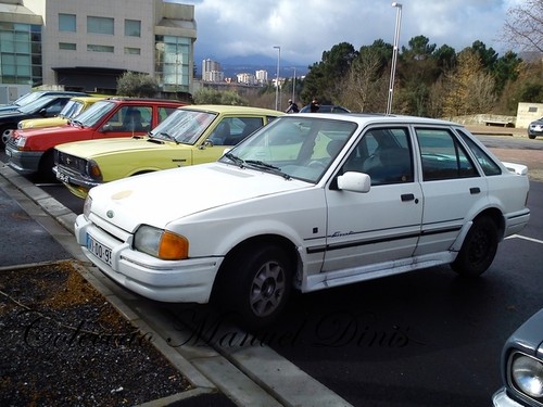 alem corgo Fevereiro 2016  (62).jpg