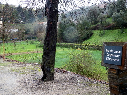 DSCF3164.JPG DSCF3164.JPG