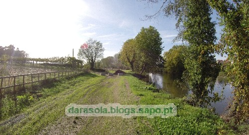 Margens rio Ave Trofa 09.JPG
