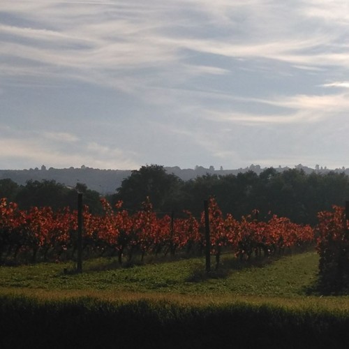 24852167_1004664286339999_2295174593051731259_n.jp