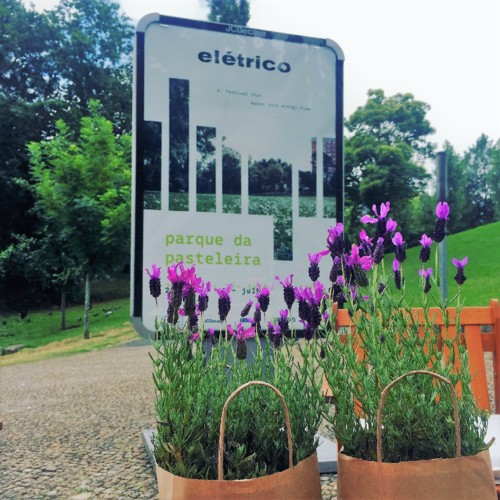 Festival Eletrico.jpg