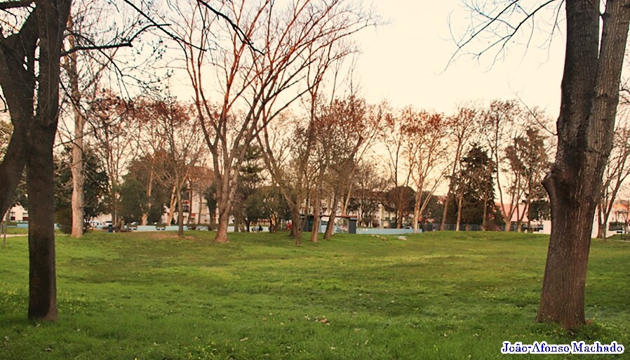 ZONA VERDE.JPG