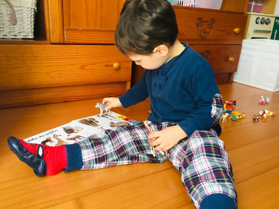 aprender os animais 1.jpg