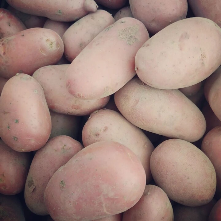 283792758_2318226334983781_4248288858425524653_n.j