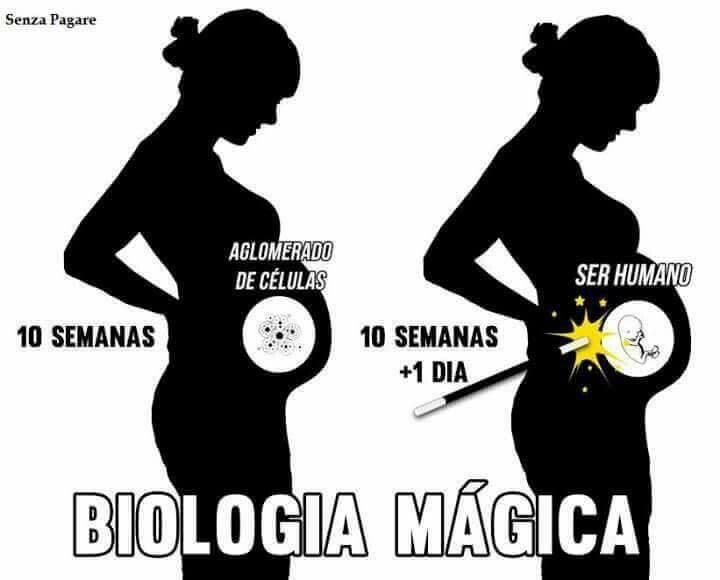 52449465_2349266601751206_2886465189689950208_n.jp