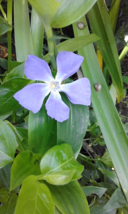 Foto Original. 2020. 04. jpg