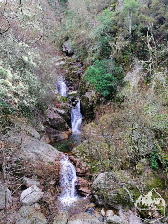 Photo_1582917384215.jpg Photo_1582917384215.jpg