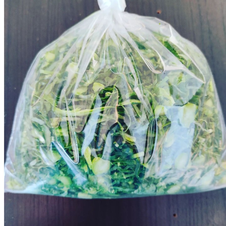 329789964_536657751890138_7456692249468382879_n.jp