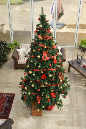 Arvore2018 (10 de 49).jpg