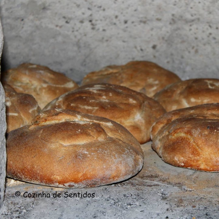 76921243_2387023554743141_1378780198182322176_n.jp