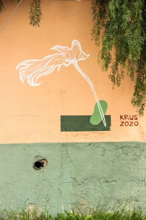 a lata delas 2.jpg a lata delas 2.jpg