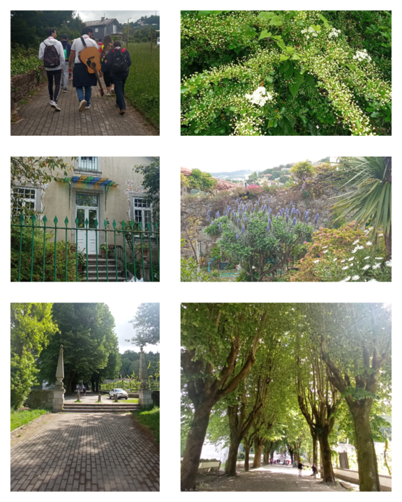 photogrid.collagemaker.photocollage.squarefit_2023