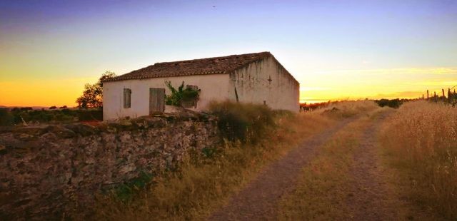 211531956_4510472218965218_6541614882154092882_n.j 211531956_4510472218965218_6541614882154092882_n.j