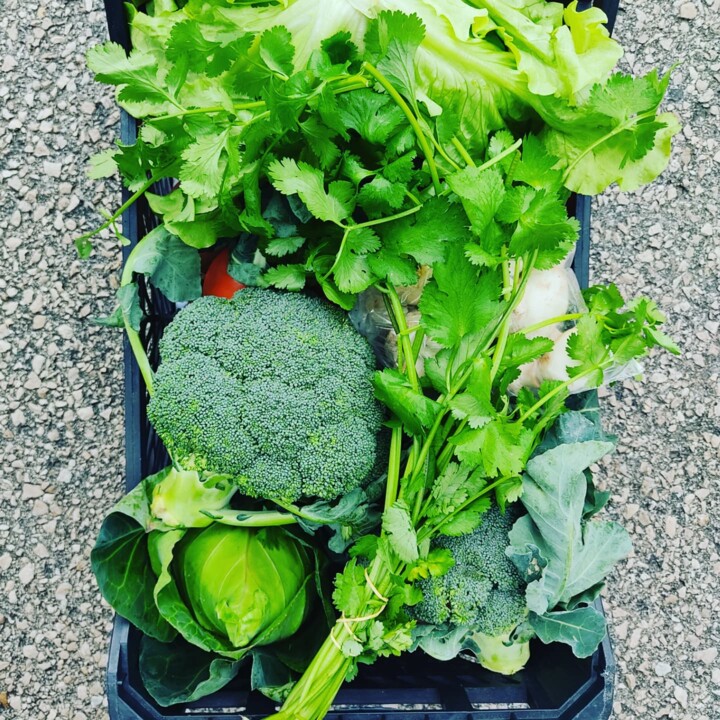 473137620_999580442199366_6211618923236107348_n.jp