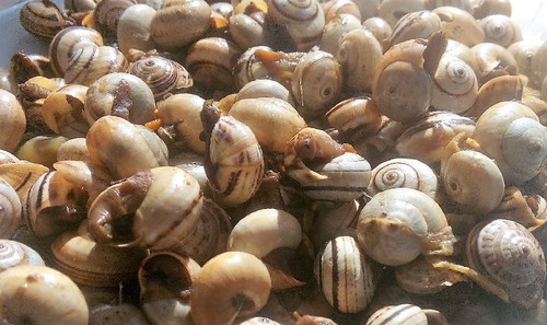 IMG_20160528_172307 (2).jpg