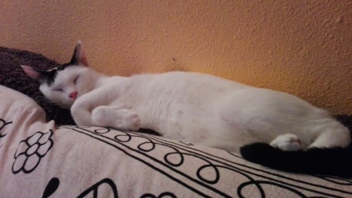 Rully 2.jpg Rully 2.jpg