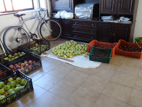 DSC00045.JPG DSC00045.JPG