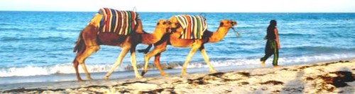 The Berlin speech1.JPG