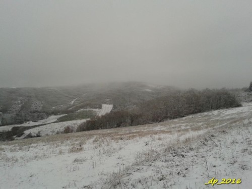 20161216_100149 20161216_100149