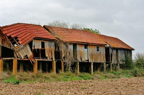 Patacão _ Alpiarça.jpg Patacão _ Alpiarça.jpg