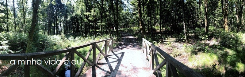 tarouca.jpg tarouca.jpg