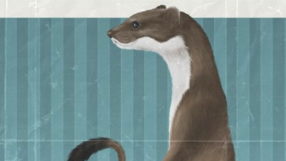 Cópia de Design sem nome.png