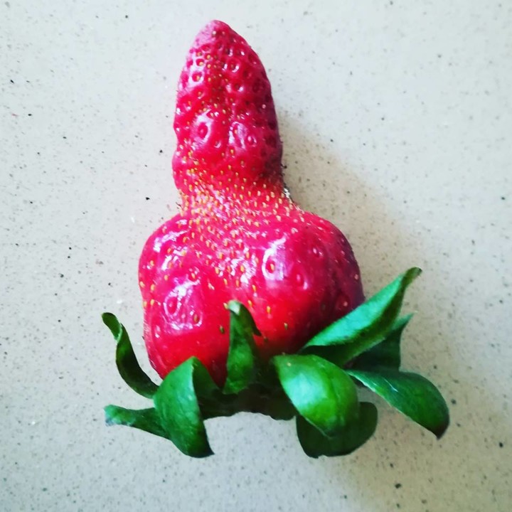 54729945_1334810996658658_4181075955994853376_n.jp 54729945_1334810996658658_4181075955994853376_n.jp