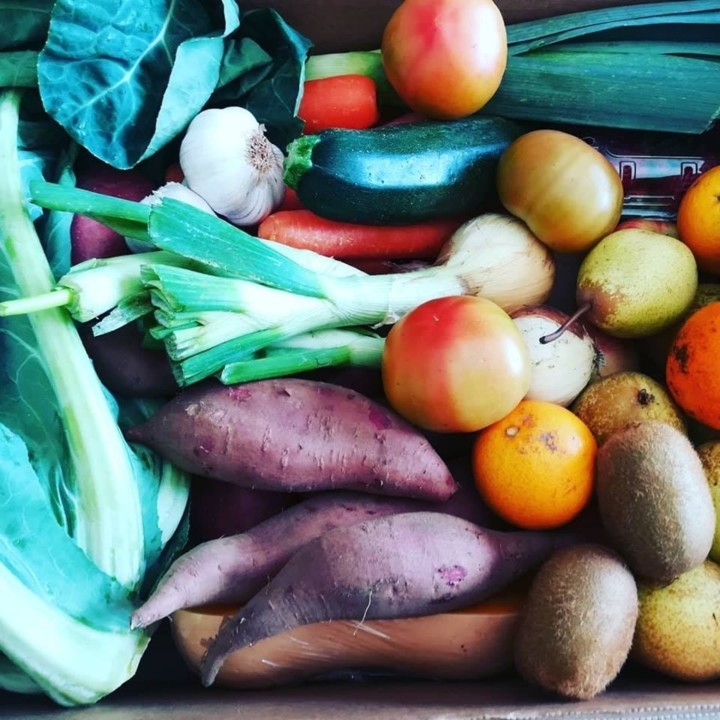 88429735_1634609206678834_5579811216479485952_o.jp 88429735_1634609206678834_5579811216479485952_o.jp