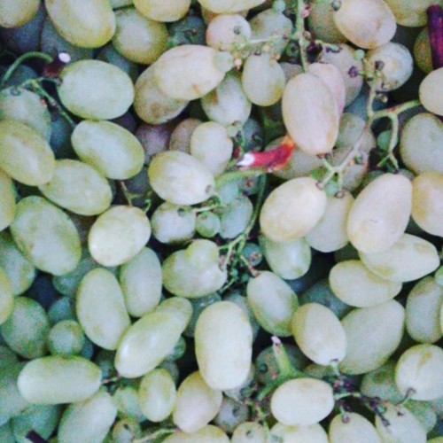 43698376_1222689444537481_1130985002092199936_n.jp 43698376_1222689444537481_1130985002092199936_n.jp