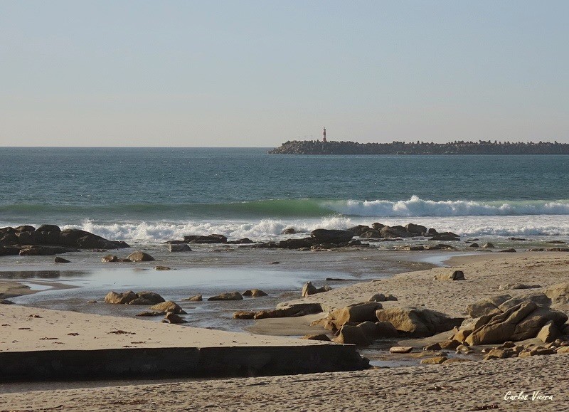 127841612_10225202112346429_1610531607097378473_n.