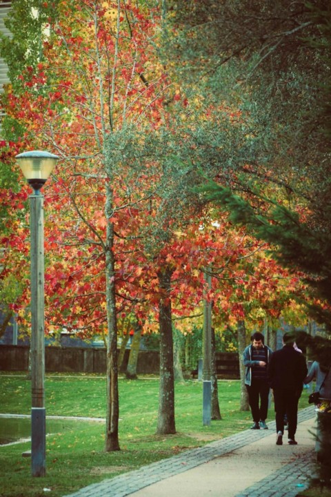 outono_quinta_das_conchas 17.jpg