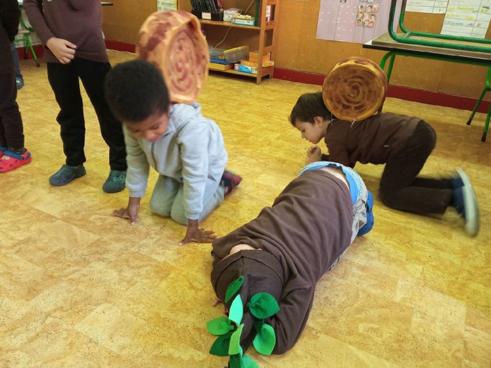 123531285_405249987218528_6365798653526817070_n.jp