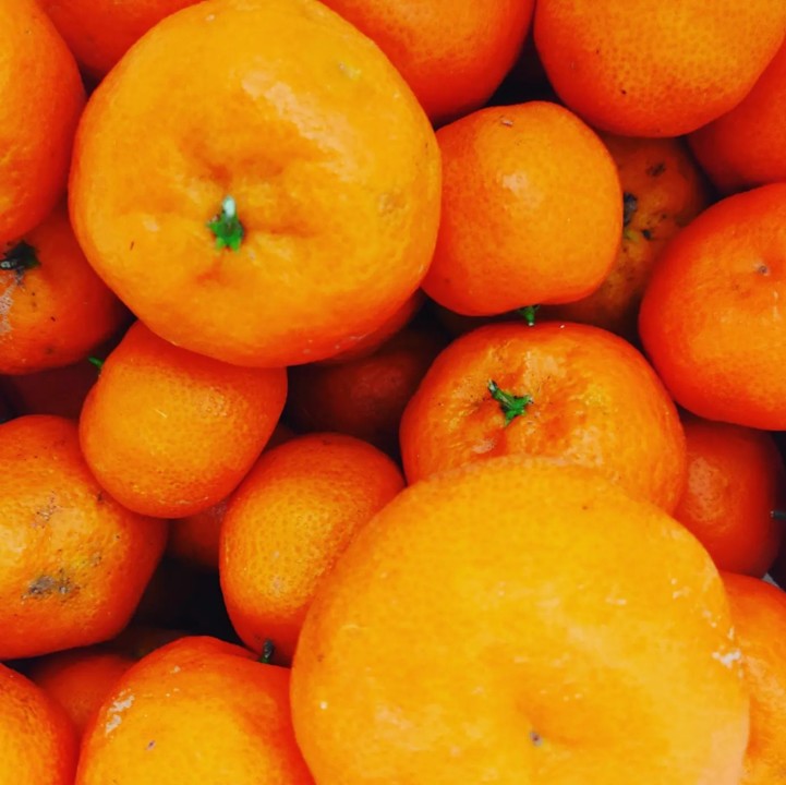 273826113_2236211549851927_4075039522753819196_n.j