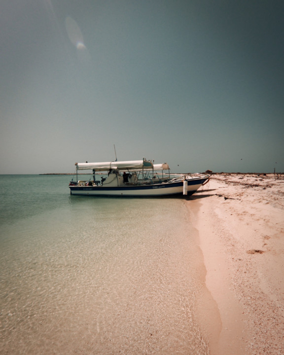 20180302 2018 Farasan K.jpg