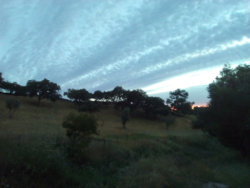 Alentejo ao entardecer Foto original DAPL 2016.jpg