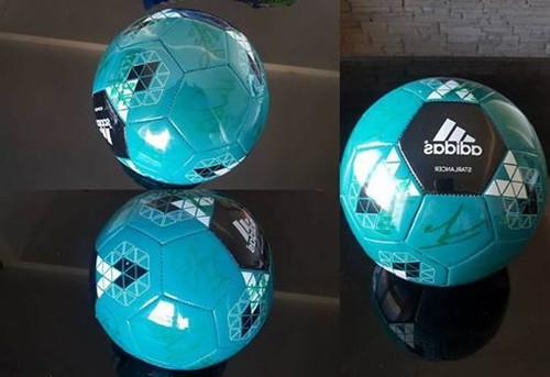 13700057_1310704852292071_6726372847980269576_n.jp