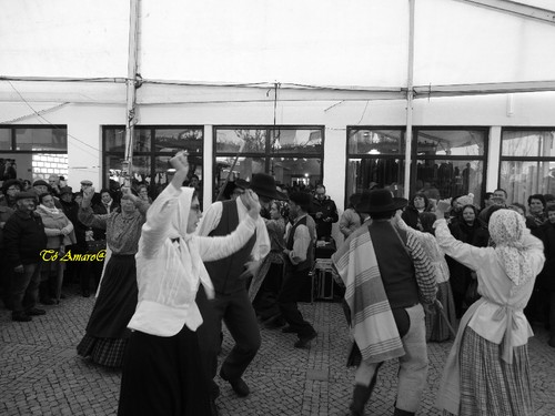 Feira do Queijo Em Seia !!! 538.jpg
