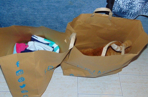 catcompras.JPG