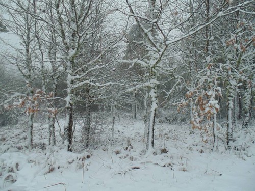 12647075_1693717727548802_9222856656653363977_n.jp